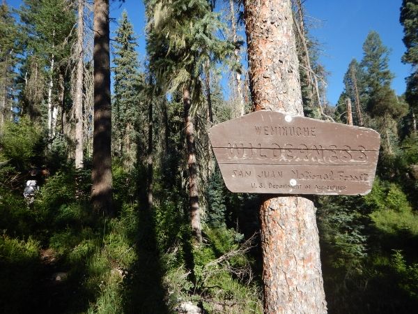Ascending the Cimarron Trail to the Divide