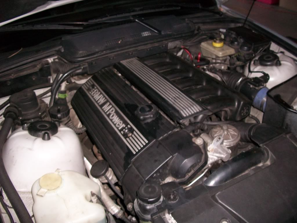 100_0110m3.jpg