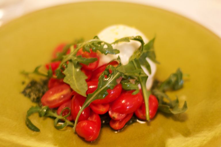  photo Tomatoes and basil starter _zps7q6oumgv.jpg