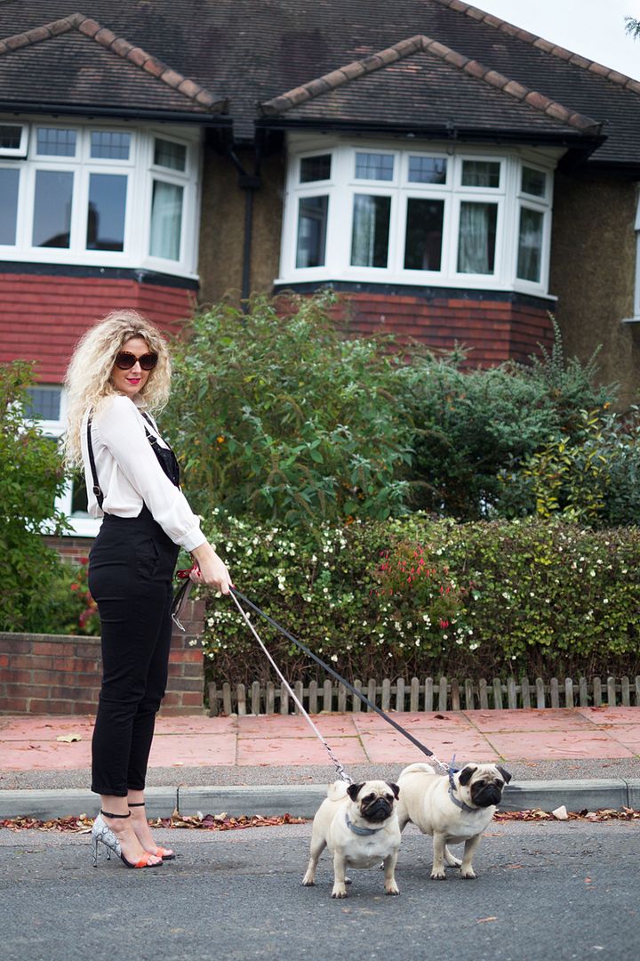  photo black dungarees and pugs street style_zpsdkoiwy6j.jpg