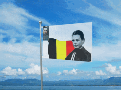 Gif drapeau Herman Wijns 2