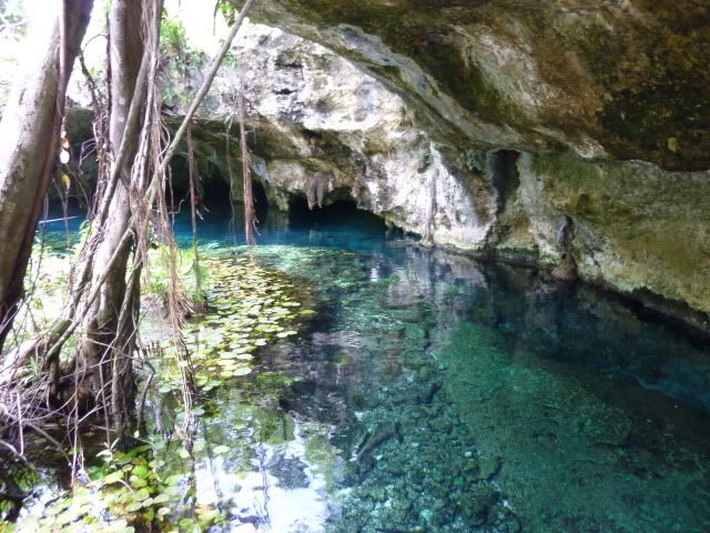 Descubriendo Riviera Maya - 27 Agosto/4 Septiembre 2010 - Blogs de Mexico - Día 7 - 2 Septiembre - Cobá, Gran Cenote,Tulum, Villa maya, Playa Paraiso (17)