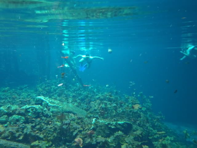 Descubriendo Riviera Maya - 27 Agosto/4 Septiembre 2010 - Blogs de Mexico - Día 7 - 2 Septiembre - Cobá, Gran Cenote,Tulum, Villa maya, Playa Paraiso (24)