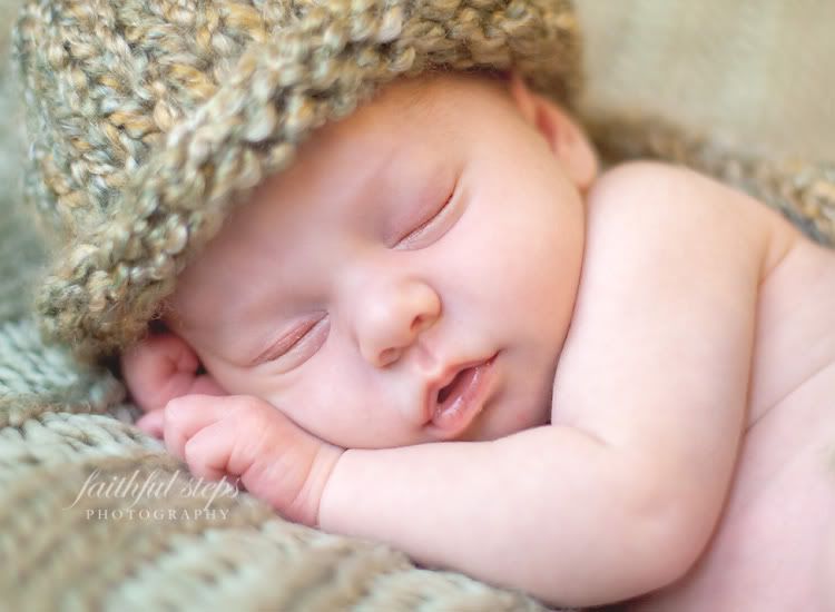 newborn portraits houston photographer Photobucket