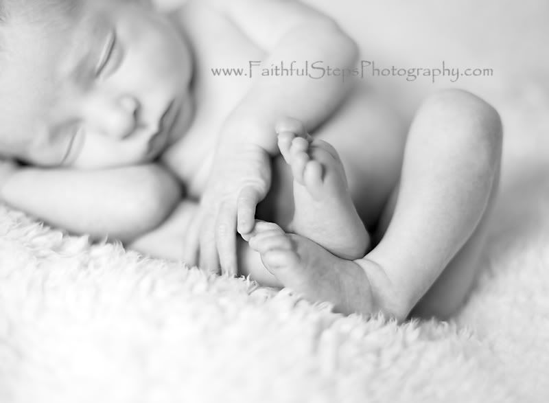 houston baby photography Photobucket