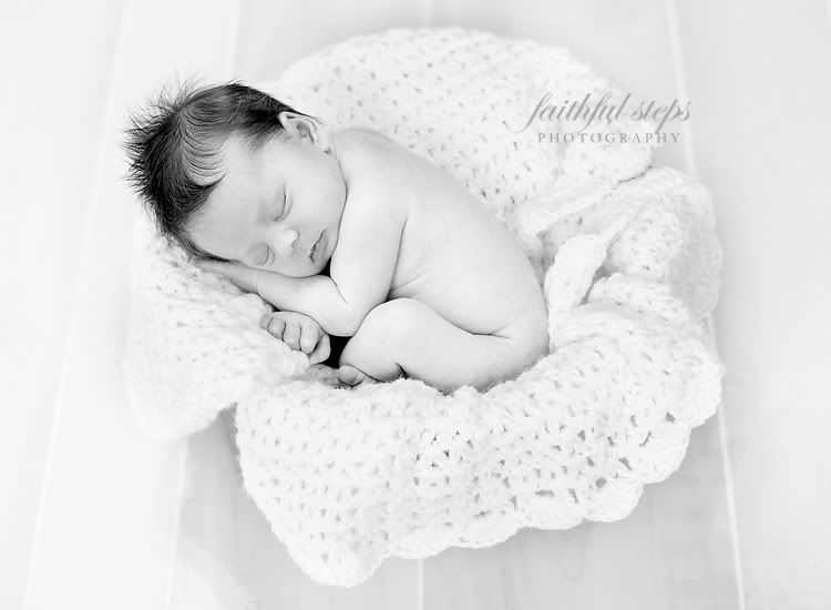 houston newborn photographer Photobucket