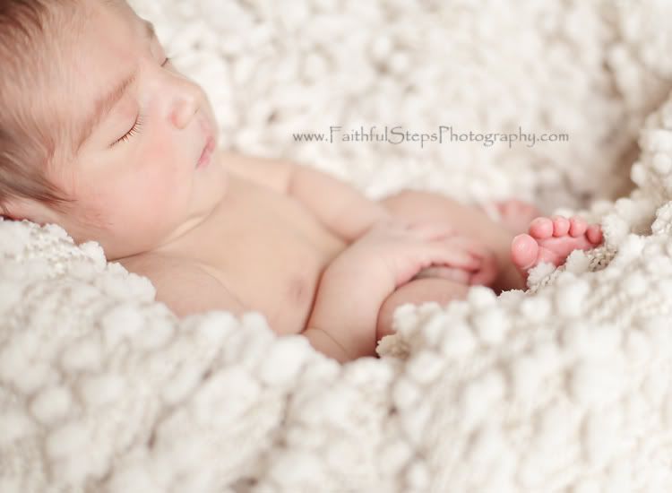 cypress tx newborn photographer Photobucket