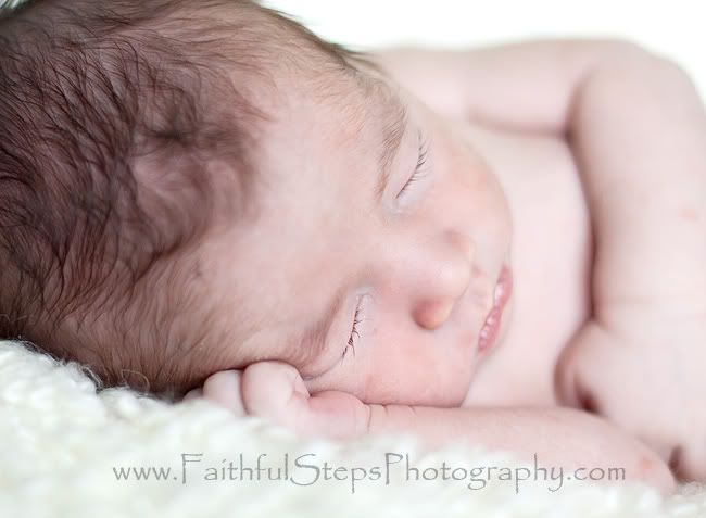 newborn photographer Houston TX Photobucket