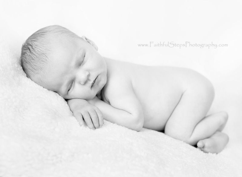  houston newborn portraits Photobucket