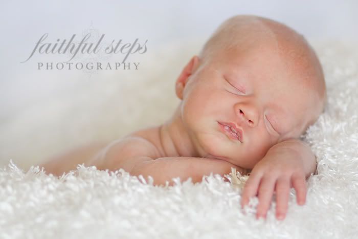 newborn photographer cypress tx houston Photobucket