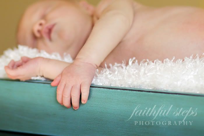 cypress tx newborn photographer Photobucket
