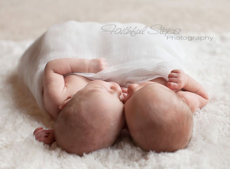 houston newborn photographer Photobucket