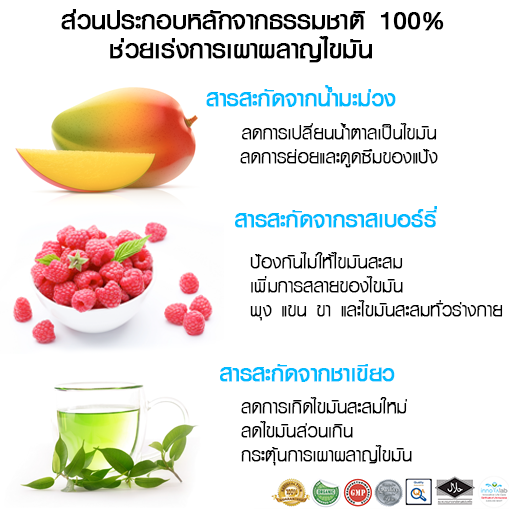 ส่วนประกอบNexday ส่วนประกอบNexday