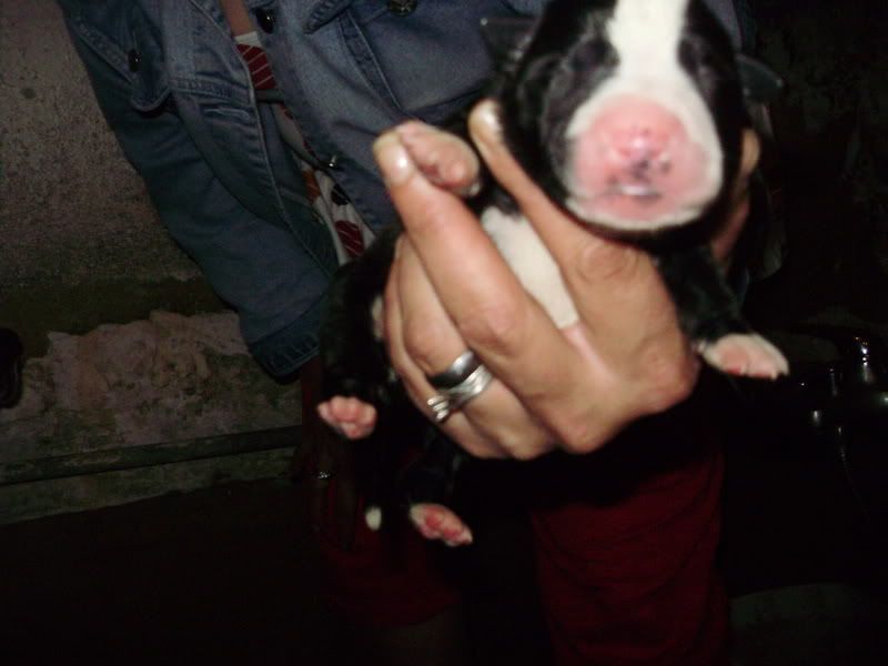 Imagem