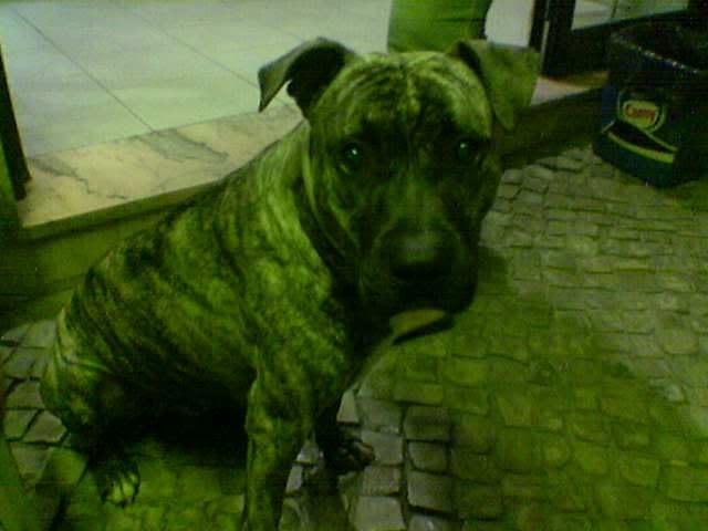 Imagem