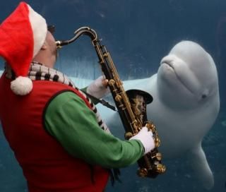  photo imagejpg1_zpsda1c3b34.jpg