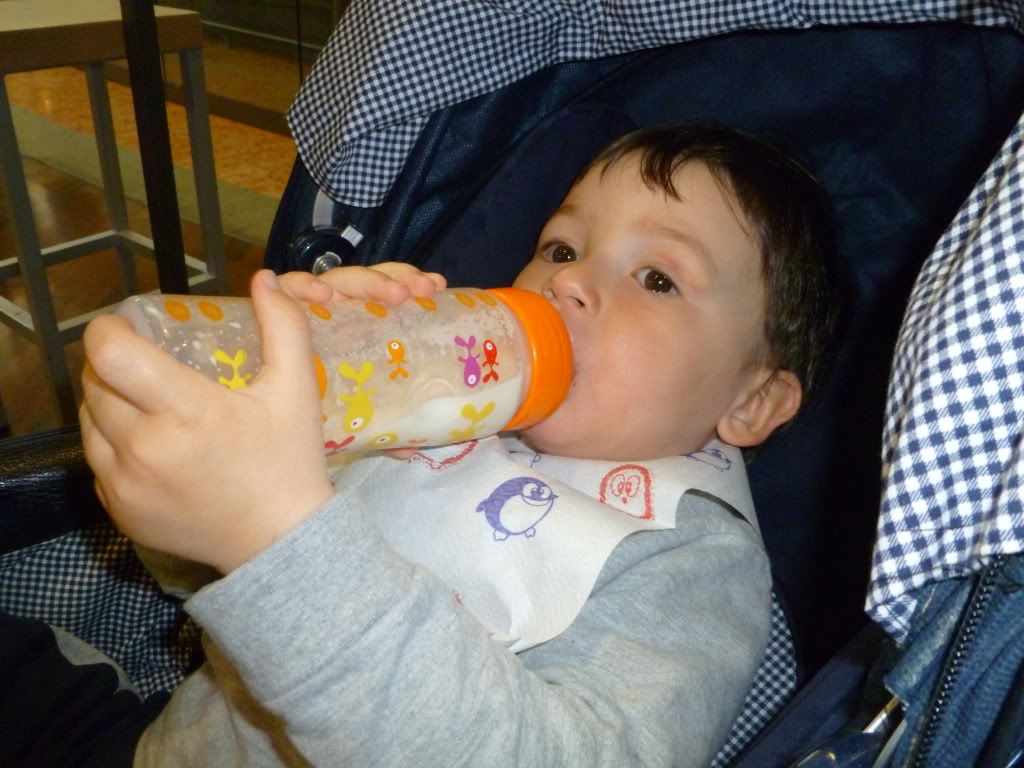 P1010182-1.jpg