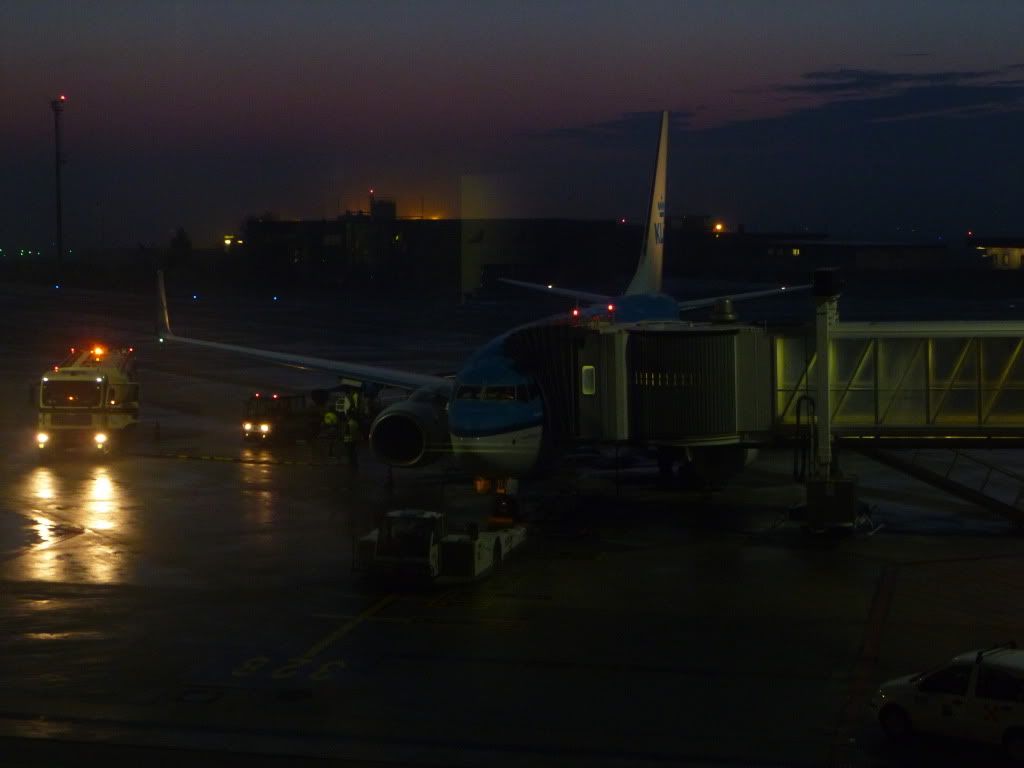 P1010184-1.jpg
