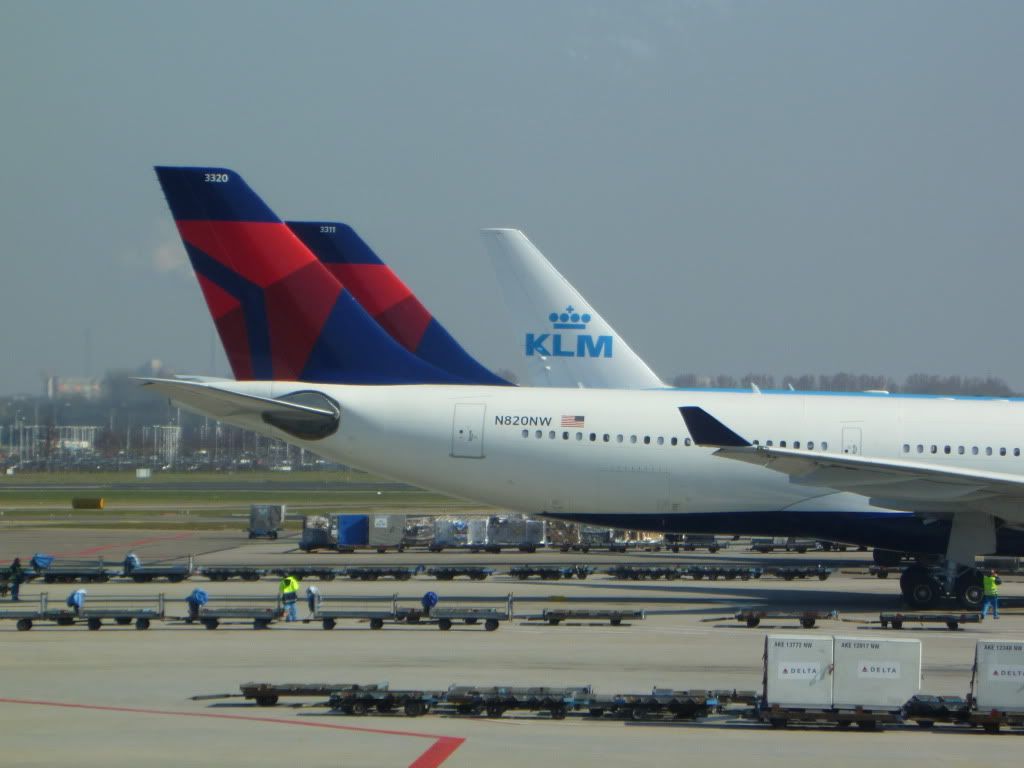 P1010200.jpg