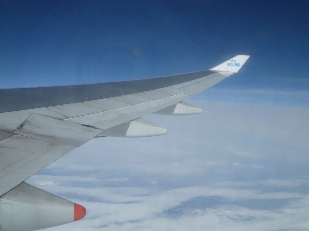 P1010221.jpg