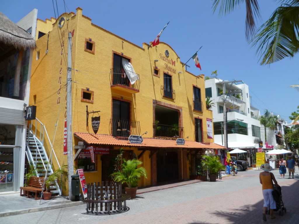 P1010235.jpg