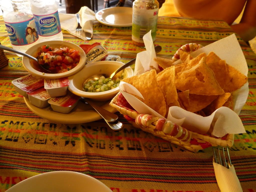 P1010240.jpg