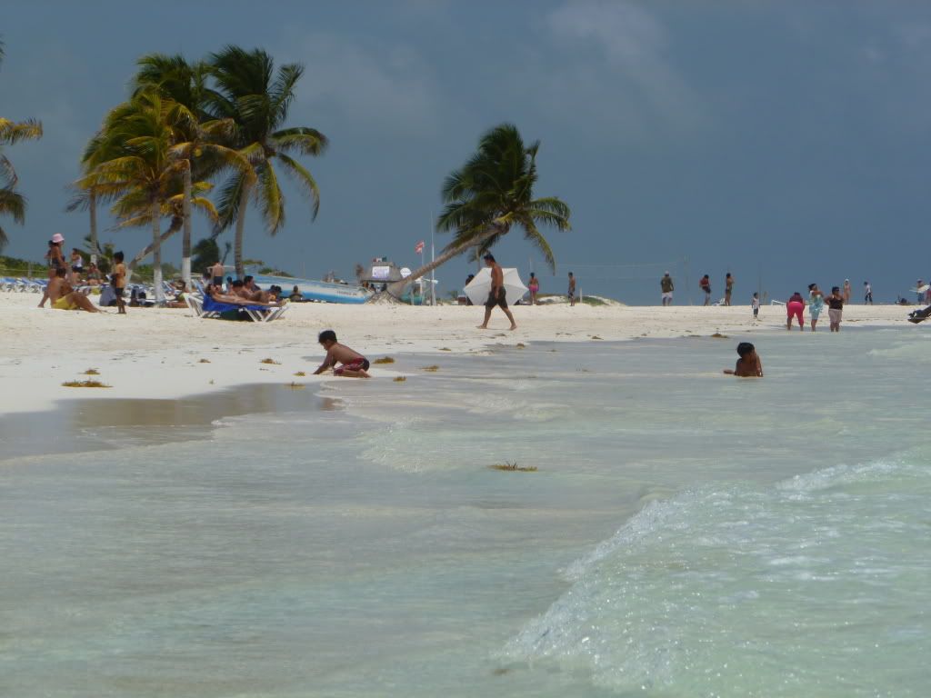 P1010365.jpg