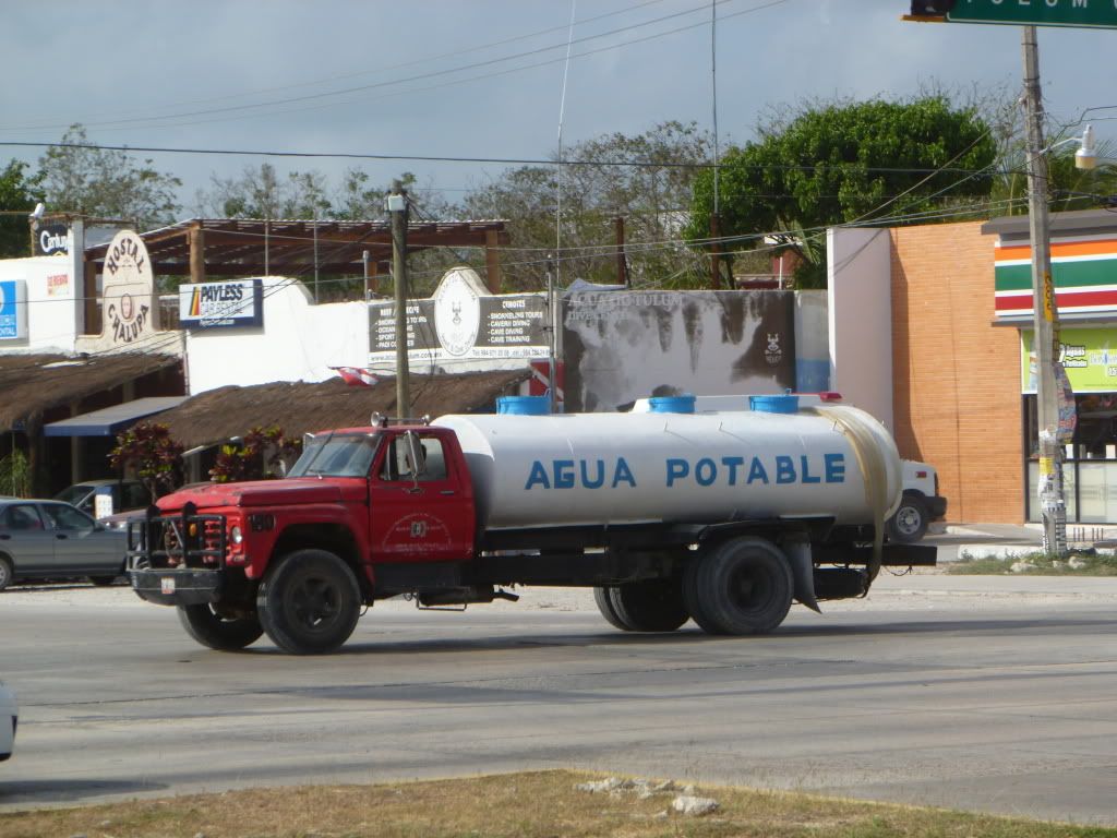 P1010437.jpg