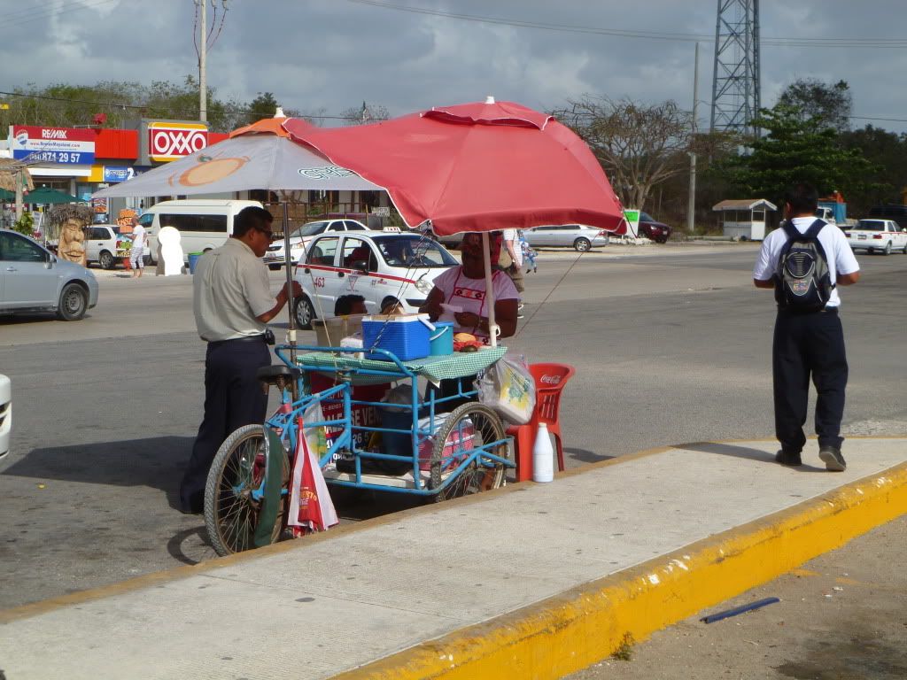 P1010438.jpg