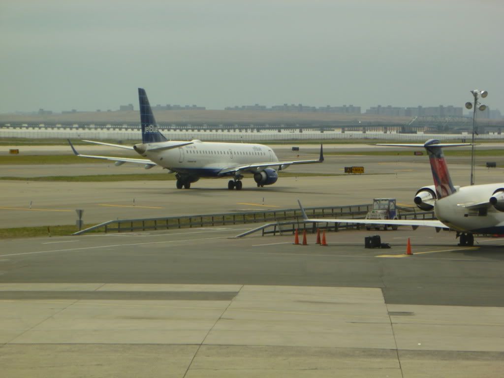 P1010633.jpg