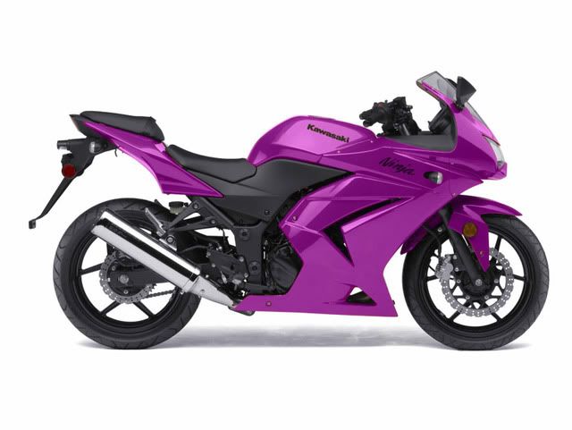 Purple Ninja 250