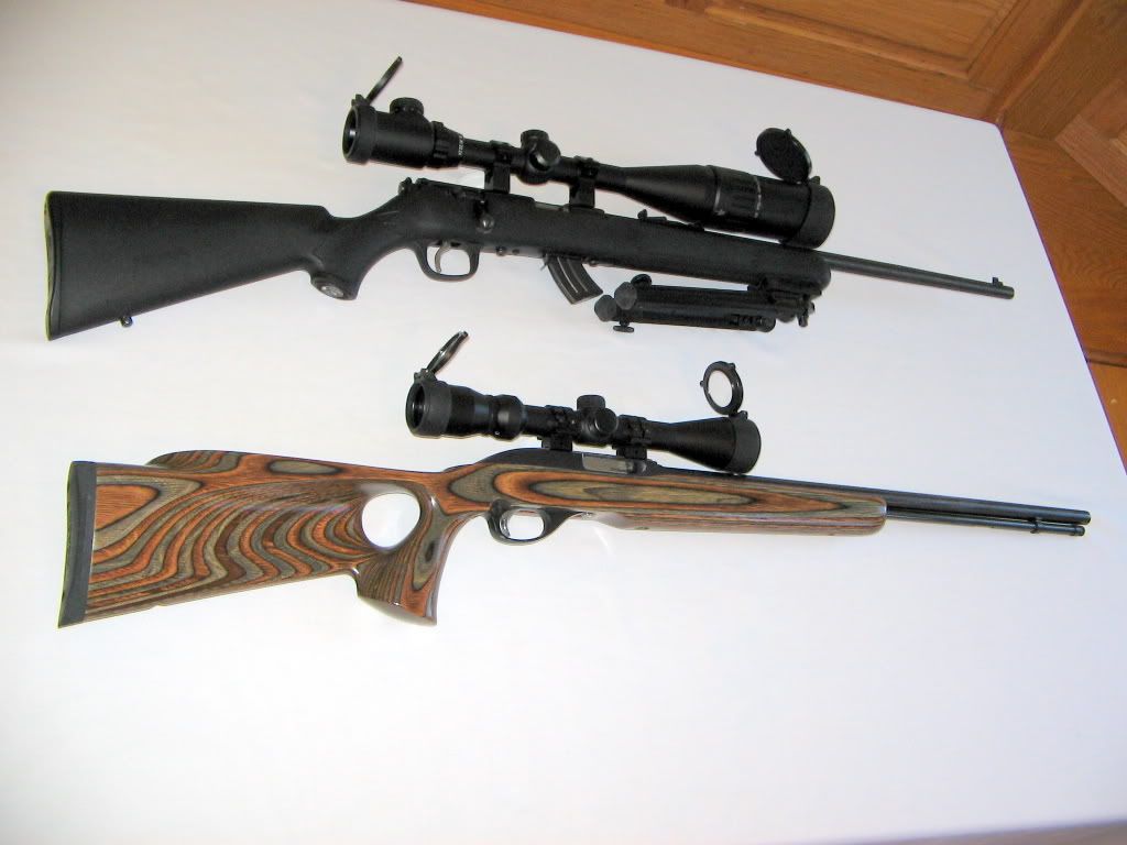 Marlin Model 60 Pics | Rimfire Central Firearm Forum