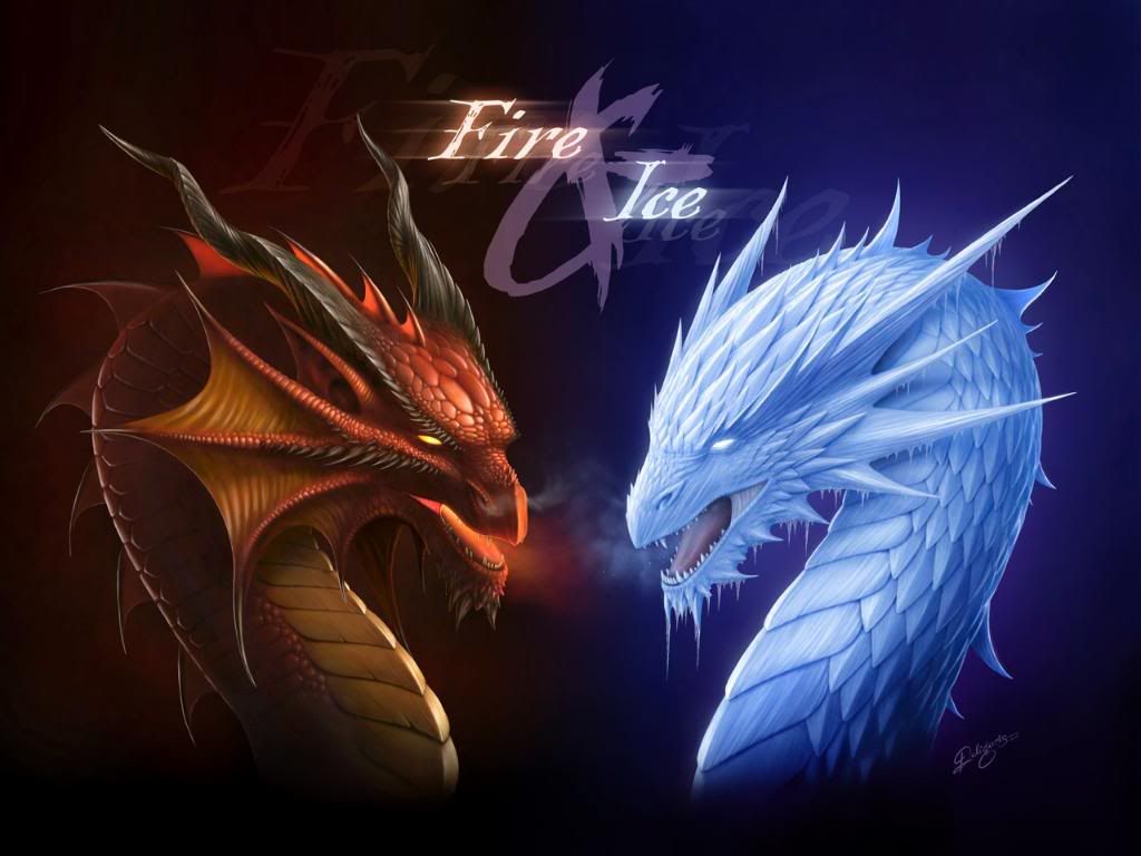 fire n ice dragons Pictures, Images and Photos