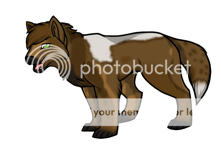 User Image