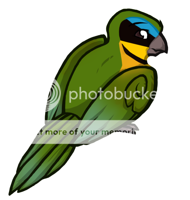 User Image