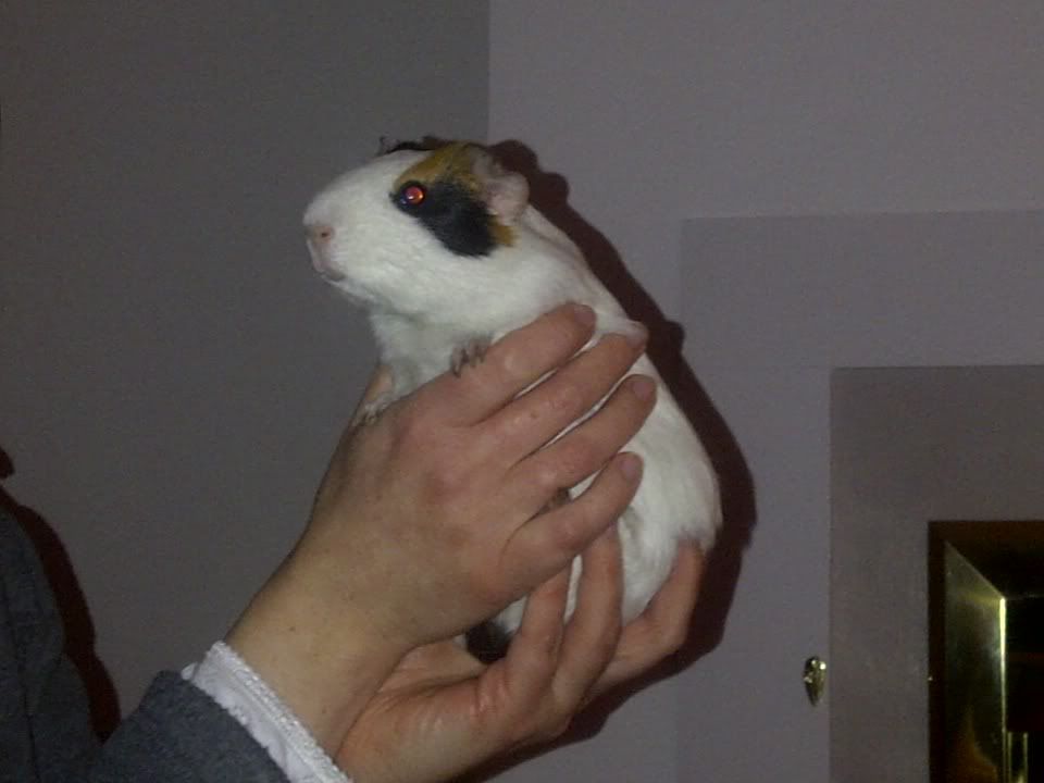 IMG-20120130-00635.jpg